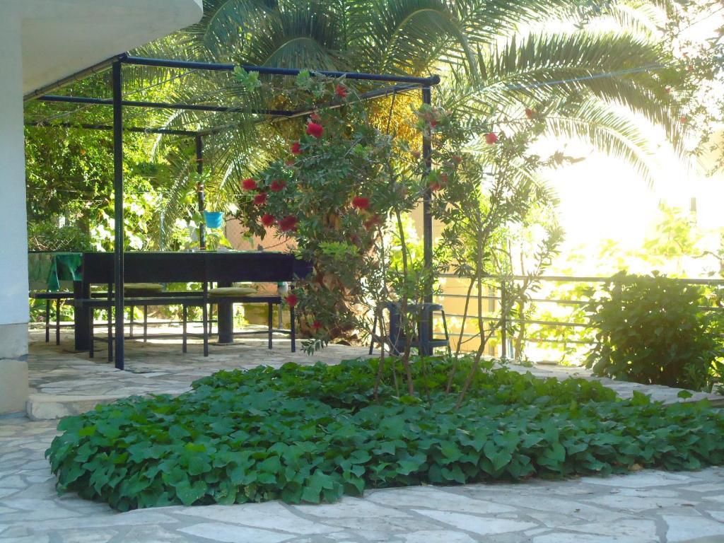 Apartments Villa Petranovic Budva Exterior photo