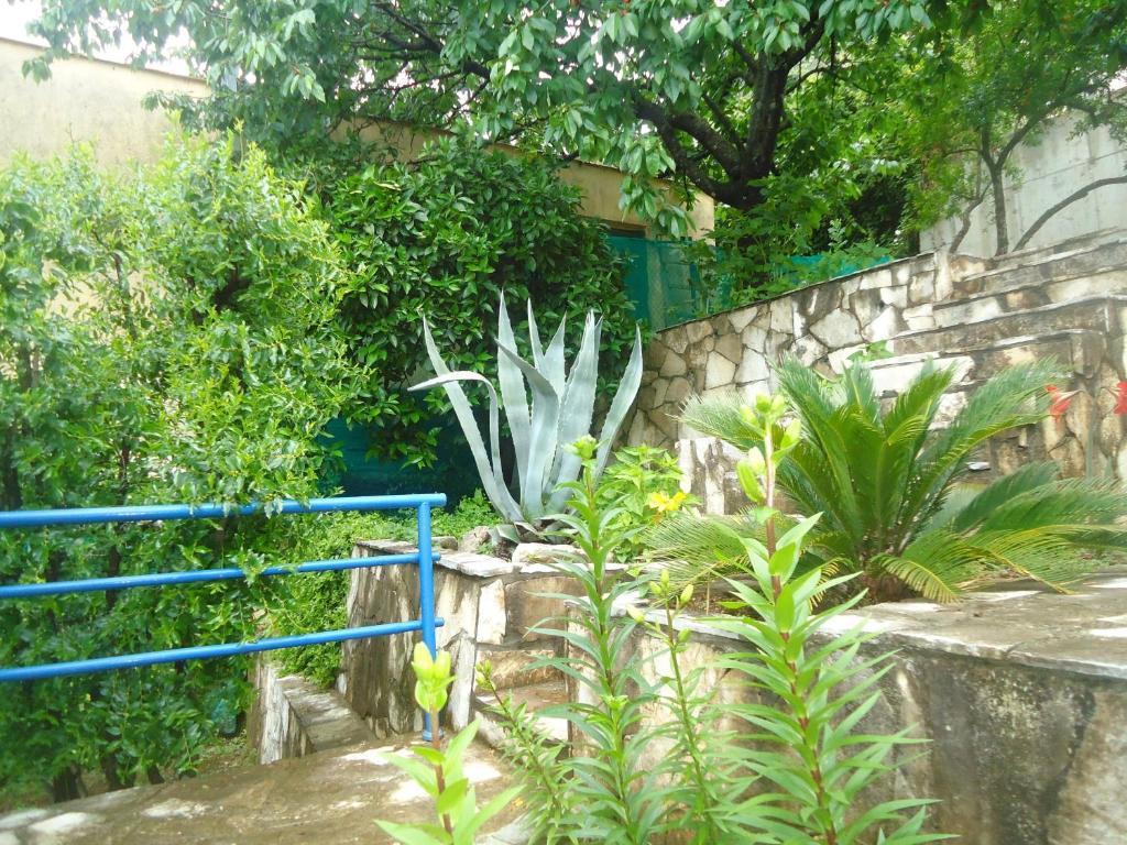 Apartments Villa Petranovic Budva Room photo