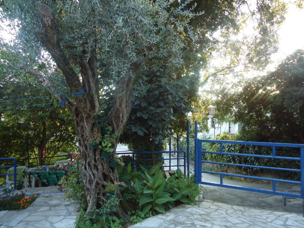 Apartments Villa Petranovic Budva Exterior photo