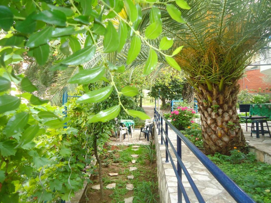 Apartments Villa Petranovic Budva Room photo
